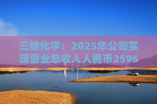 三维化学：2025年公司实现营业总收入人民币259658.03万元