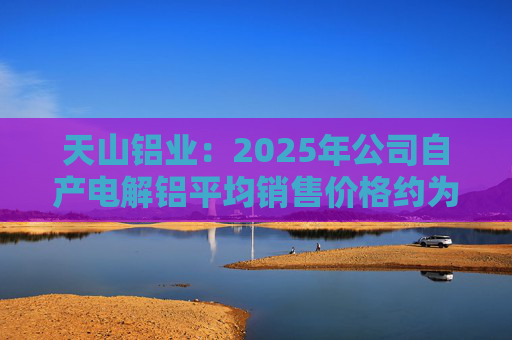天山铝业：2025年公司自产电解铝平均销售价格约为20600元/吨