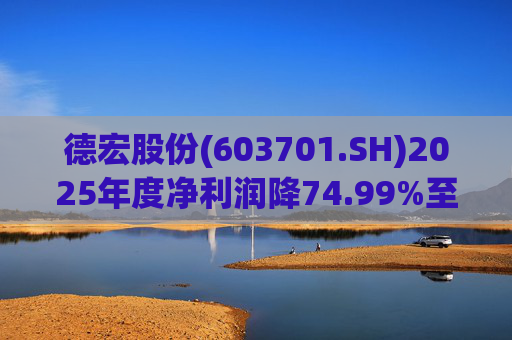 德宏股份(603701.SH)2025年度净利润降74.99%至1153.69万元