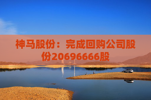 神马股份：完成回购公司股份20696666股