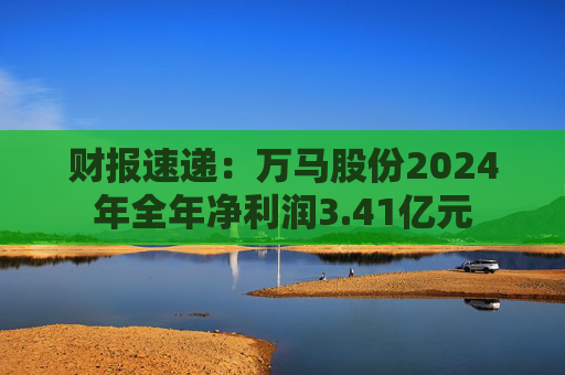财报速递：万马股份2024年全年净利润3.41亿元