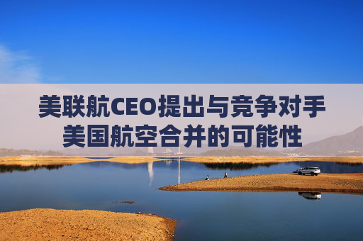 美联航CEO提出与竞争对手美国航空合并的可能性  第1张