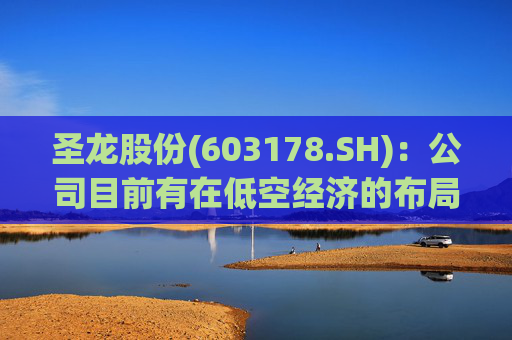 圣龙股份(603178.SH)：公司目前有在低空经济的布局  第1张