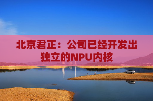 北京君正：公司已经开发出独立的NPU内核
