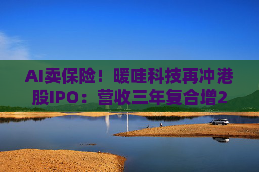 AI卖保险！暖哇科技再冲港股IPO：营收三年复合增25%，众安、红杉为股东