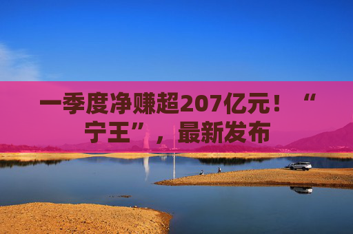 一季度净赚超207亿元！“宁王”，最新发布