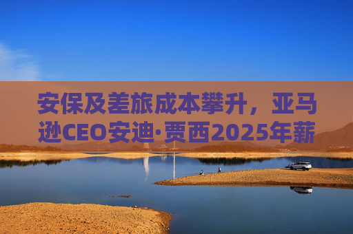 安保及差旅成本攀升，亚马逊CEO安迪·贾西2025年薪酬涨至210万美元
