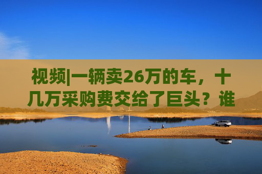 视频|一辆卖26万的车，十几万采购费交给了巨头？谁抽干了车企利润
