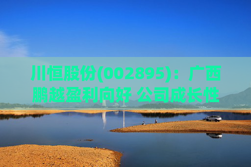 川恒股份(002895)：广西鹏越盈利向好 公司成长性持续兑现