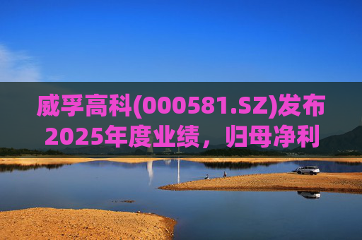 威孚高科(000581.SZ)发布2025年度业绩,归母净利润10.68亿元,下降35.63% 第1张 威孚高科(000581.SZ)发布2025年度业绩,归母净利润10.68亿元,下降35.63% 第1张