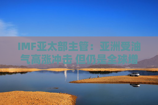 IMF亚太部主管：亚洲受油气高涨冲击 但仍是全球增长引擎
