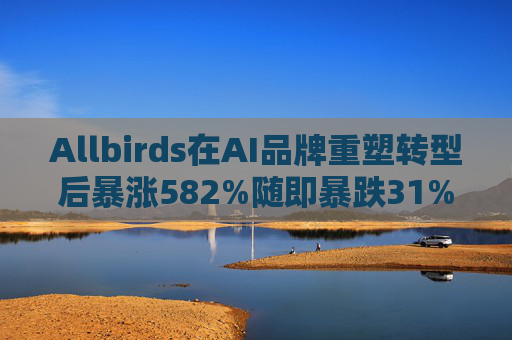 Allbirds在AI品牌重塑转型后暴涨582%随即暴跌31%