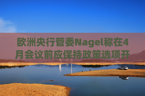 欧洲央行管委Nagel称在4月会议前应保持政策选项开放