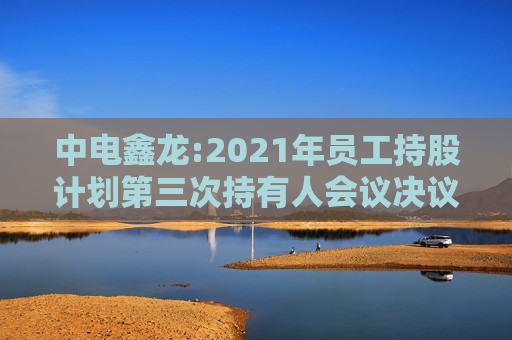 中电鑫龙:2021年员工持股计划第三次持有人会议决议公告