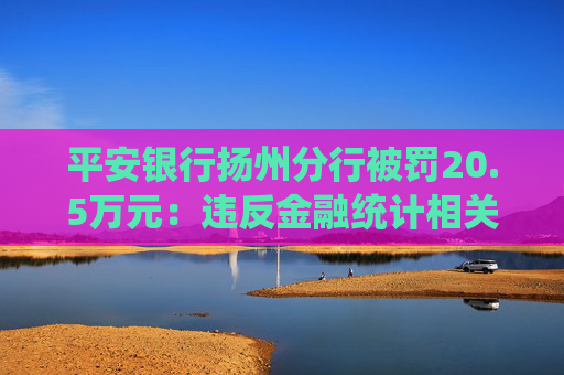 平安银行扬州分行被罚20.5万元：违反金融统计相关规定、违反账户管理规定、违反网络安全管理规定