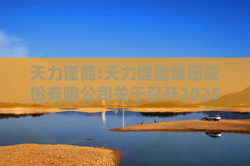 天力锂能:天力锂能集团股份有限公司关于召开2025年第二次临时股东大会的通知