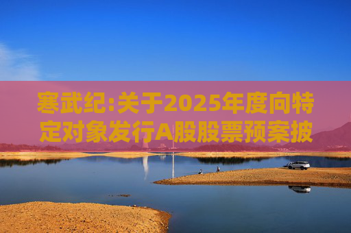 寒武纪:关于2025年度向特定对象发行A股股票预案披露的提示性公告