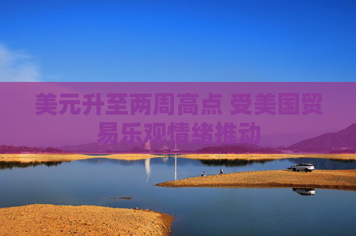 美元升至两周高点 受美国贸易乐观情绪推动