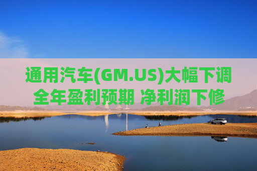 通用汽车(GM.US)大幅下调全年盈利预期 净利润下修至82亿-101亿美元