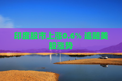 印度股市上涨0.6% 追随美股涨势