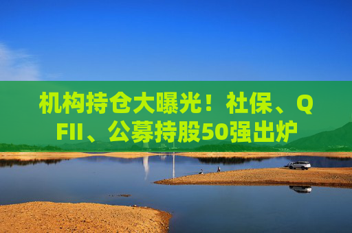 机构持仓大曝光！社保、QFII、公募持股50强出炉
