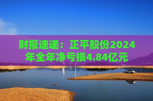 财报速递：正平股份2024年全年净亏损4.84亿元