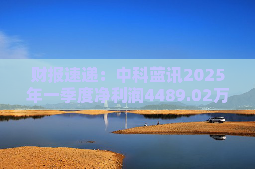 财报速递：中科蓝讯2025年一季度净利润4489.02万元