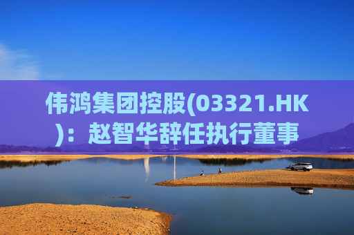 伟鸿集团控股(03321.HK)：赵智华辞任执行董事