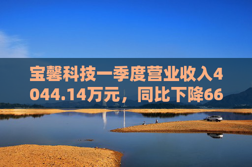 宝馨科技一季度营业收入4044.14万元，同比下降66.73%