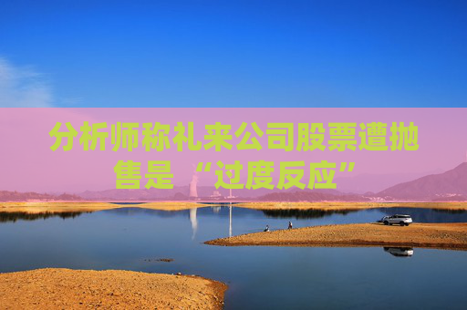 分析师称礼来公司股票遭抛售是 “过度反应”