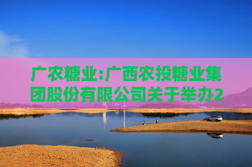 广农糖业:广西农投糖业集团股份有限公司关于举办2024年度网上业绩说明会的公告