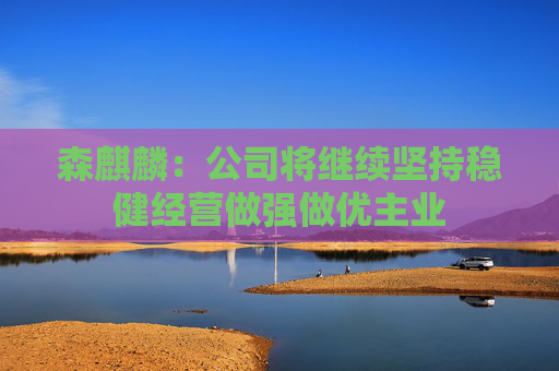 森麒麟：公司将继续坚持稳健经营做强做优主业
