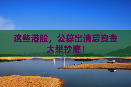 这些港股，公募出清后资金大举抄底！