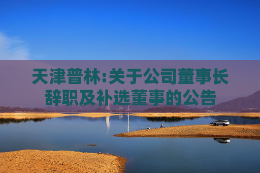 天津普林:关于公司董事长辞职及补选董事的公告