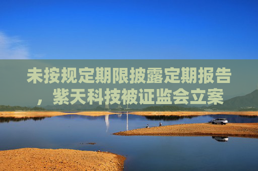 未按规定期限披露定期报告，紫天科技被证监会立案