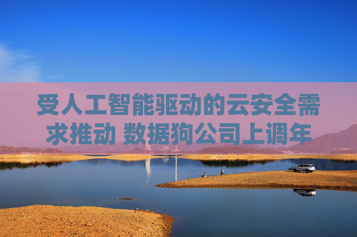受人工智能驱动的云安全需求推动 数据狗公司上调年度营收预期