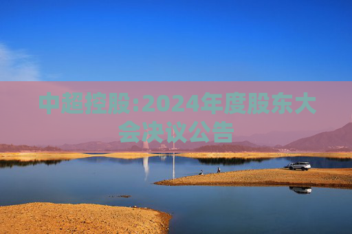 中超控股:2024年度股东大会决议公告