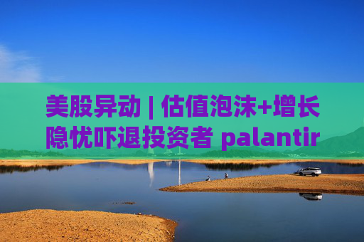 美股异动 | 估值泡沫+增长隐忧吓退投资者 palantir(PLTR.US)大跌超11%