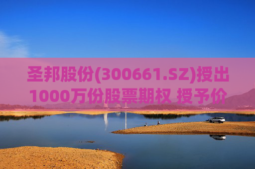 圣邦股份(300661.SZ)授出1000万份股票期权 授予价为96元/份