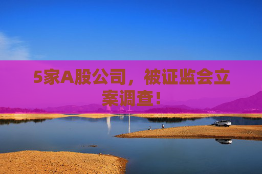 5家A股公司，被证监会立案调查！
