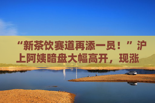 “新茶饮赛道再添一员！”沪上阿姨暗盘大幅高开，现涨超63%，一手赚约2141港元，总市值近190亿港元