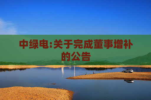 中绿电:关于完成董事增补的公告