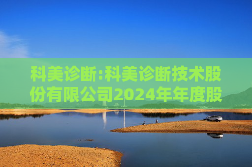 科美诊断:科美诊断技术股份有限公司2024年年度股东大会会议资料
