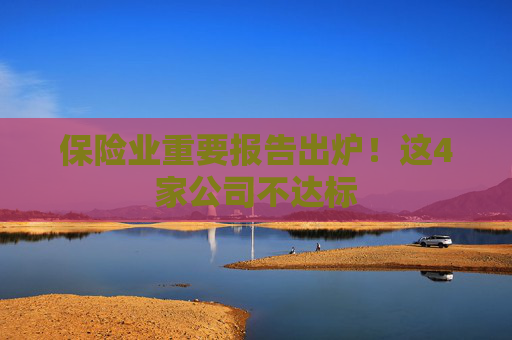 保险业重要报告出炉！这4家公司不达标