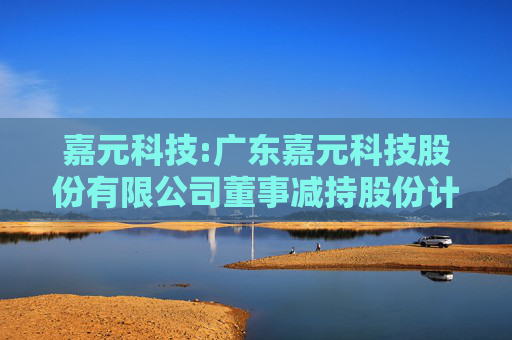 嘉元科技:广东嘉元科技股份有限公司董事减持股份计划公告  第1张