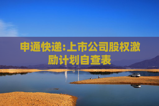 申通快递:上市公司股权激励计划自查表