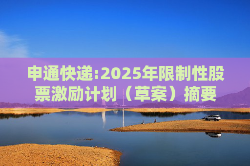 申通快递:2025年限制性股票激励计划（草案）摘要