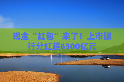 现金“红包”来了！上市银行分红超6300亿元
