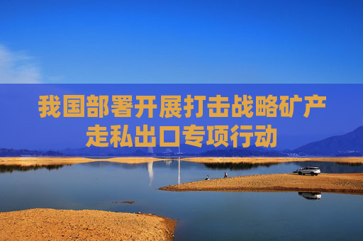我国部署开展打击战略矿产走私出口专项行动