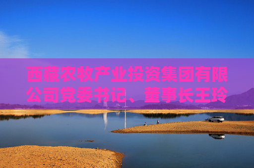 西藏农牧产业投资集团有限公司党委书记、董事长王玲接受纪律审查和监察调查
